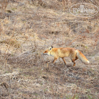 фото из отзыва ID 2745742