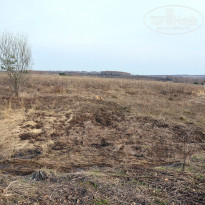 фото из отзыва ID 2745742