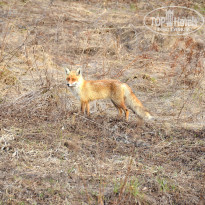 фото из отзыва ID 2745742