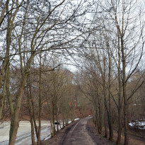 фото из отзыва ID 2745742