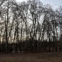 фото из отзыва ID 2745742