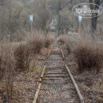 фото из отзыва ID 2745742