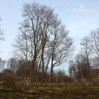 фото из отзыва ID 2745742