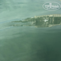 фото из отзыва ID 2745914