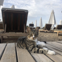 фото из отзыва ID 2745914