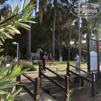 фото из отзыва ID 2745914