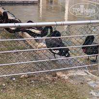 фото из отзыва ID 2746094