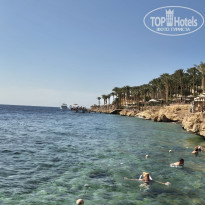 фото из отзыва ID 2746144