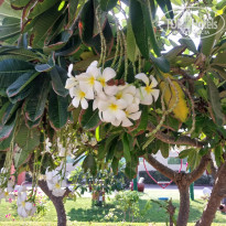 фото из отзыва ID 2745952