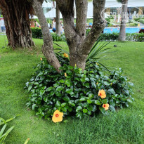 фото из отзыва ID 2745953