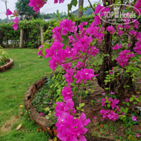 фото из отзыва ID 2746176