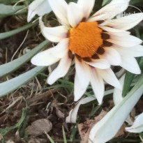 фото из отзыва ID 2746175