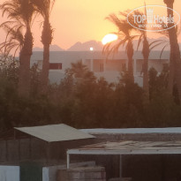 фото из отзыва ID 2746175