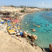 фото из отзыва ID 2746175