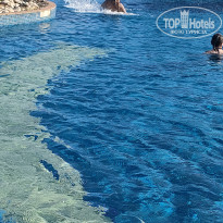 фото из отзыва ID 2746175