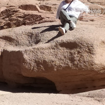 фото из отзыва ID 2746175