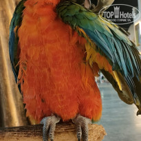 фото из отзыва ID 2746175