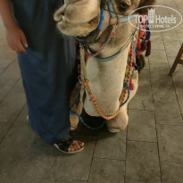 фото из отзыва ID 2746175