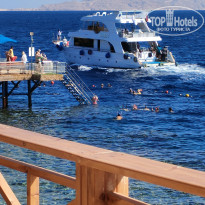 фото из отзыва ID 2746175