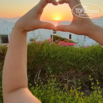 фото из отзыва ID 2746175