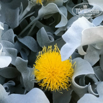 фото из отзыва ID 2746175