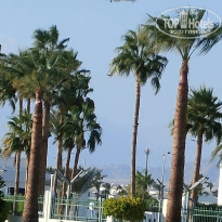 фото из отзыва ID 2746175