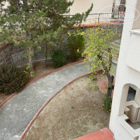 фото из отзыва ID 2746182