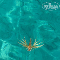 фото из отзыва ID 2746193