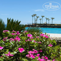 фото из отзыва ID 2746193