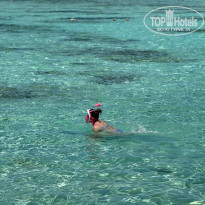 фото из отзыва ID 2746193