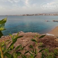 фото из отзыва ID 2746202