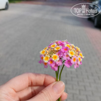 фото из отзыва ID 2746214