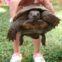 фото из отзыва ID 2746214