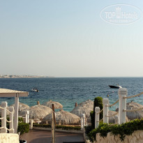 фото из отзыва ID 2746233