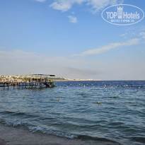 фото из отзыва ID 2746238