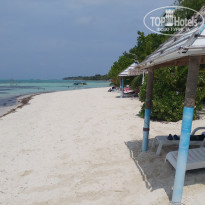 фото из отзыва ID 2746234