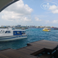 фото из отзыва ID 2746234