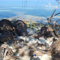 фото из отзыва ID 2746234