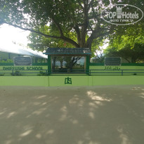 фото из отзыва ID 2746234