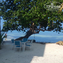 фото из отзыва ID 2746234