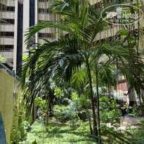 фото из отзыва ID 2746258