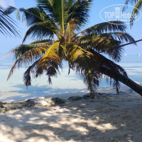 фото из отзыва ID 2746234