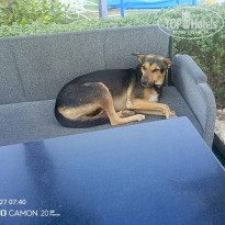 фото из отзыва ID 2746262