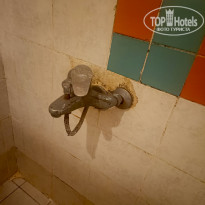 фото из отзыва ID 2746262