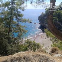 фото из отзыва ID 2746281