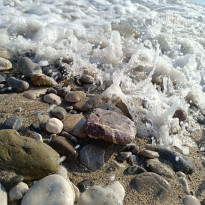 фото из отзыва ID 2746281