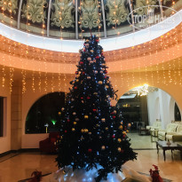 фото из отзыва ID 2746295