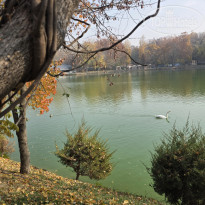 фото из отзыва ID 2746194