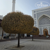 фото из отзыва ID 2746194