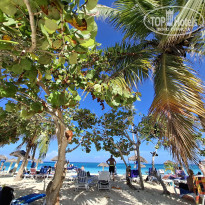 фото из отзыва ID 2746360